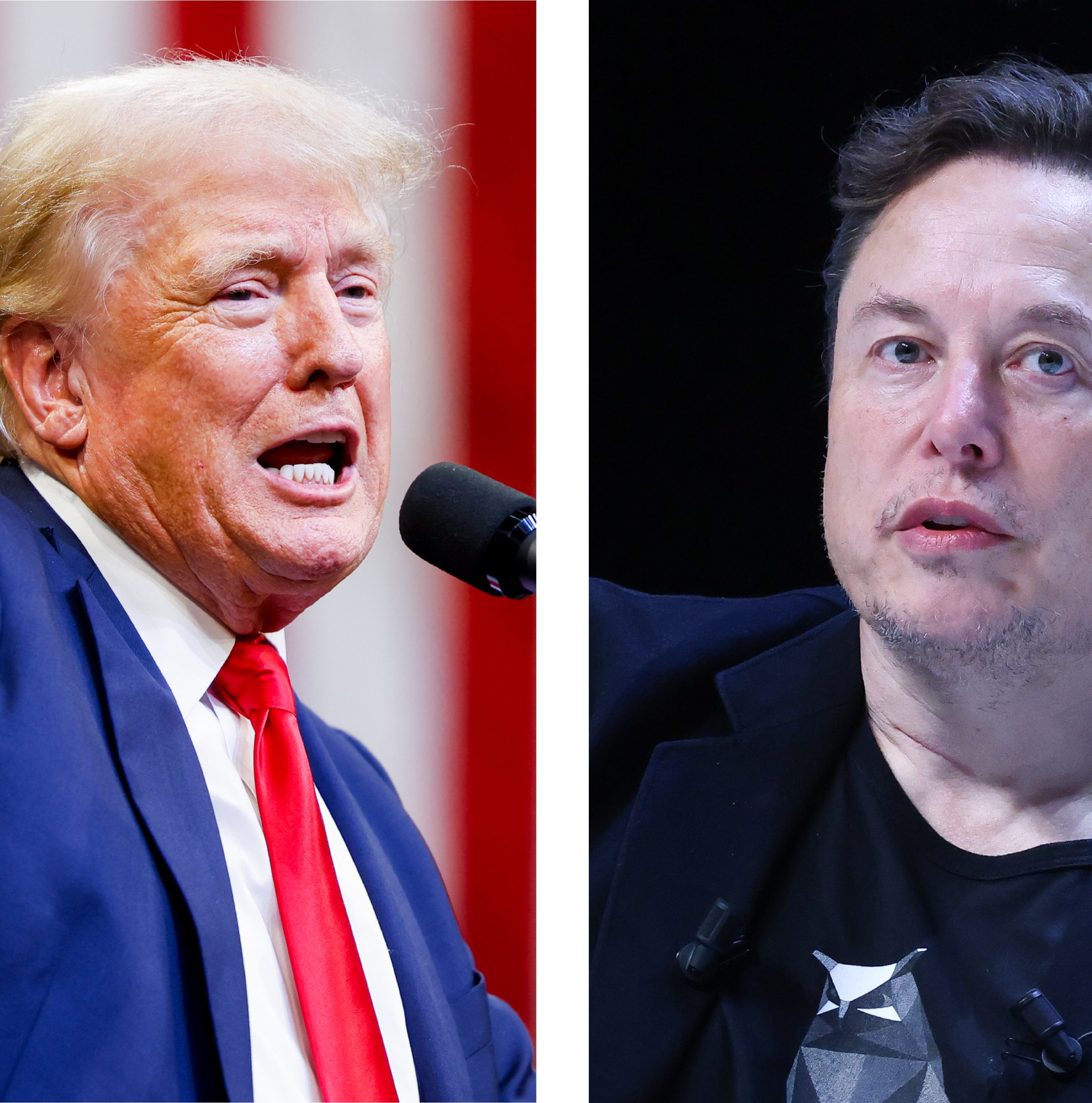 Why Musk and Trump are on the same side